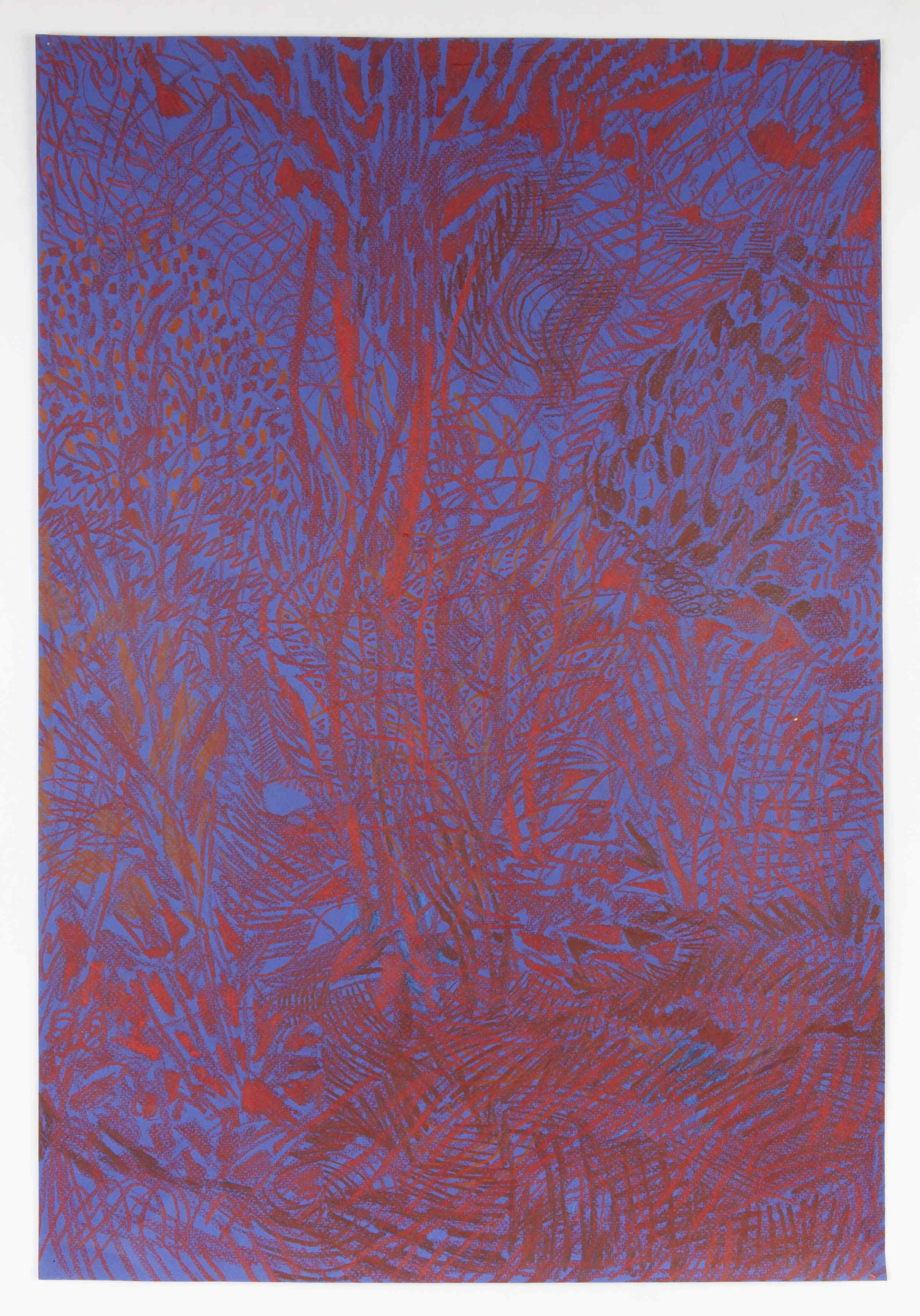 LP's nocturnal garden, 1