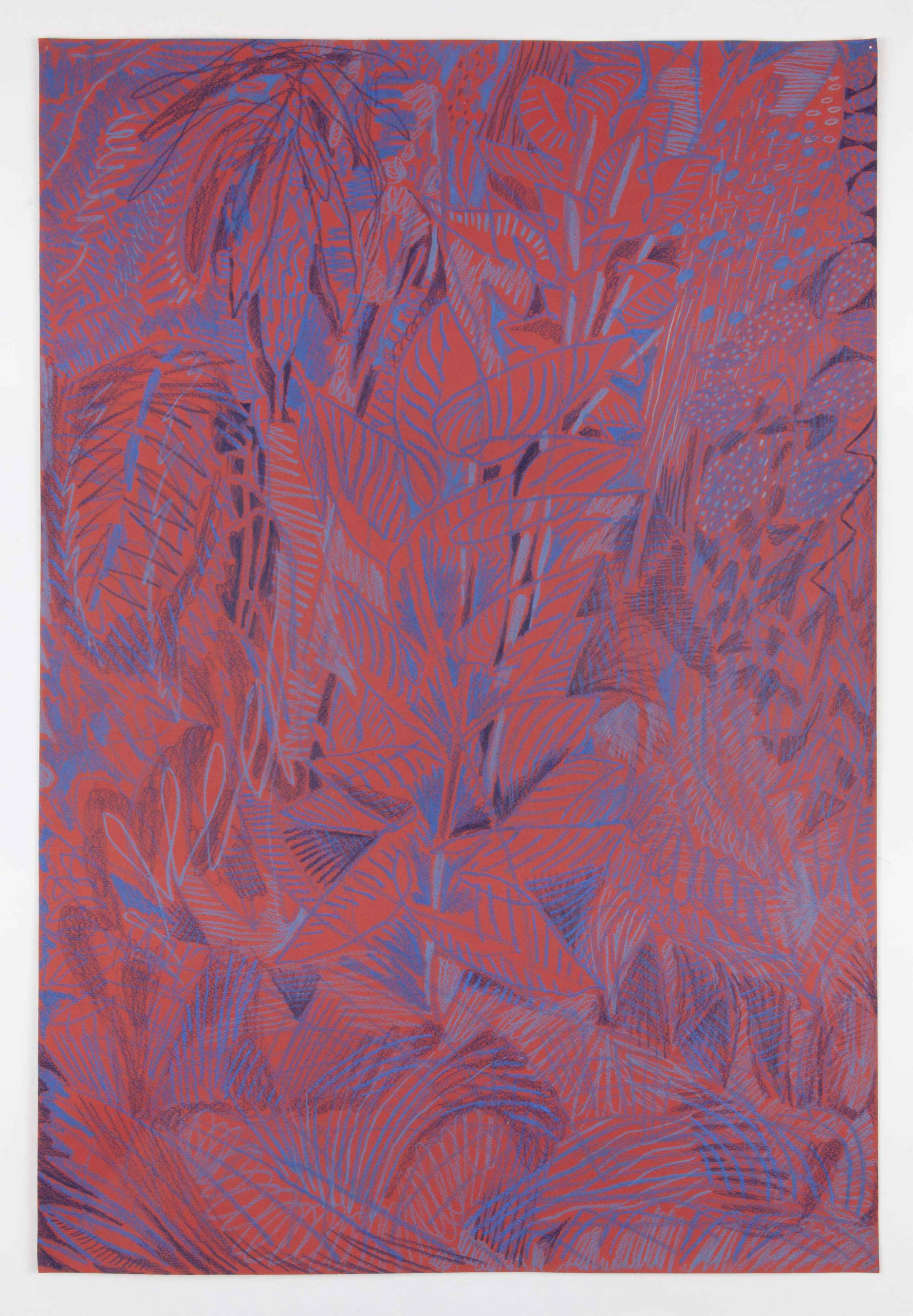 LP's nocturnal garden, 2